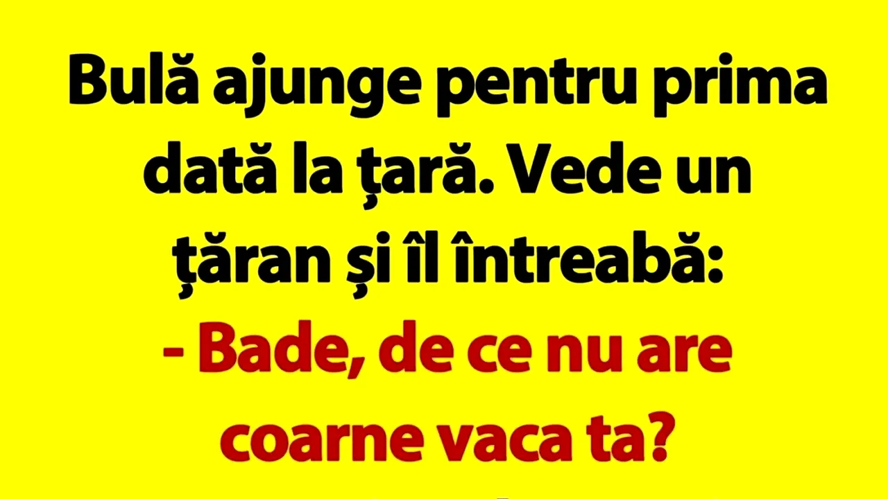 BANC | Bulă se duce la țară: „Bade, de ce nu are coarne vaca ta?”