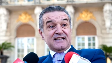 EXCLUSIV. Scorul scos de Gigi Becali la ALEGERILE PARLAMENTARE. Becali a candidat în fostul colegiu al Elenei Udrea. Mesajul pe care i l-a transmis lui Traian Băsescu