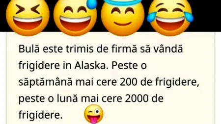 BANC | Bulă este trimis de firmă să vândă frigidere în Alaska