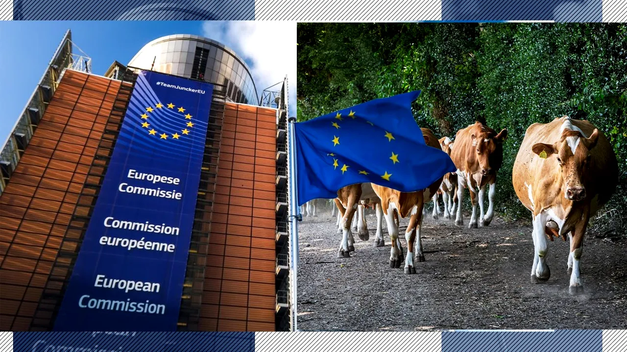 România solicită Comisiei Europene permisiunea de a importa animale de reproducție. Numărul vacilor, oilor, caprelor și porcilor scade an de an