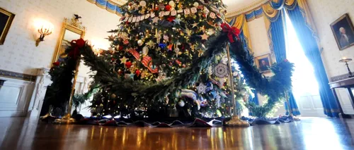 GALERIE FOTO. Bo Ho Ho! Întâiul câine al Americii a inspectat decorațiunile de Crăciun