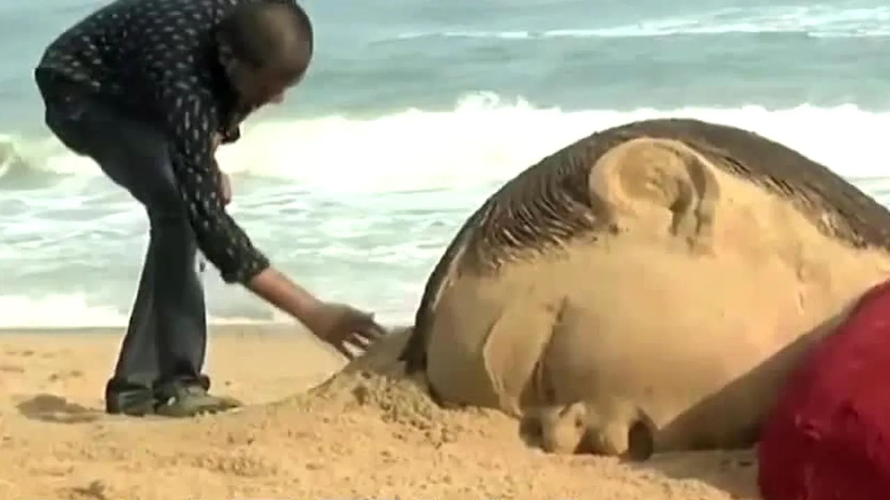 „Umanitatea a eșuat. Rușine, rușine, rușine