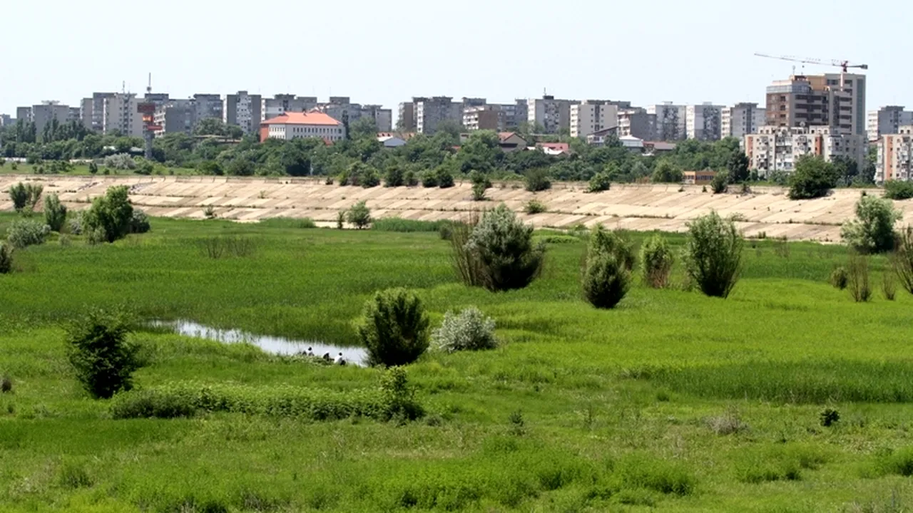 DELTA din București. Sulfina Barbu îi cere Rovanei Plumb să finalizeze litigiul în instanță legat de zona Văcărești