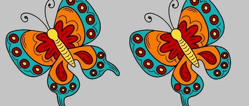 TEST de perspicacitate | Găsiți cele 3 diferențe dintre acești 2 fluturi, în maximum 15 secunde!