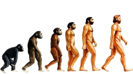 FENOMENUL care a avut rolul decisiv în evoluția speciei umane