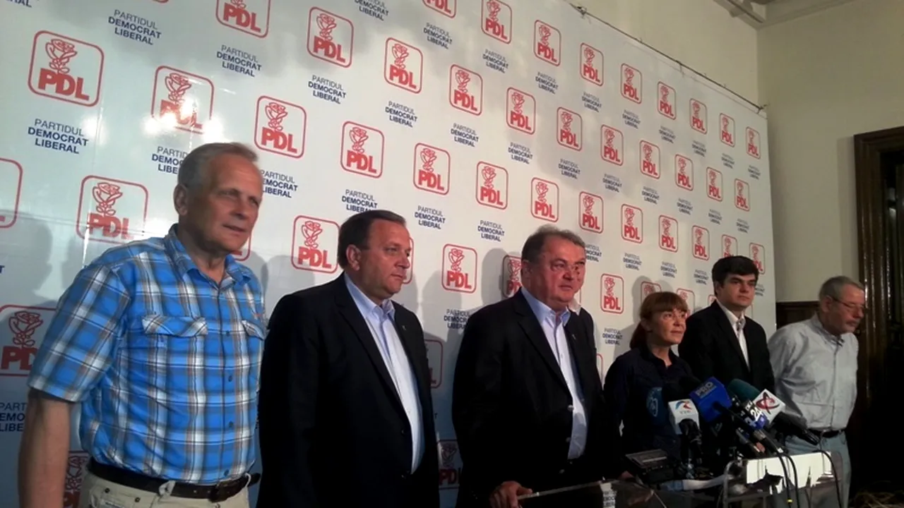 REZULTATE ALEGERI EUROPARLAMENTARE 2014. Cum a fost în Aleea Modrogran nr.1 în seara alegerilor