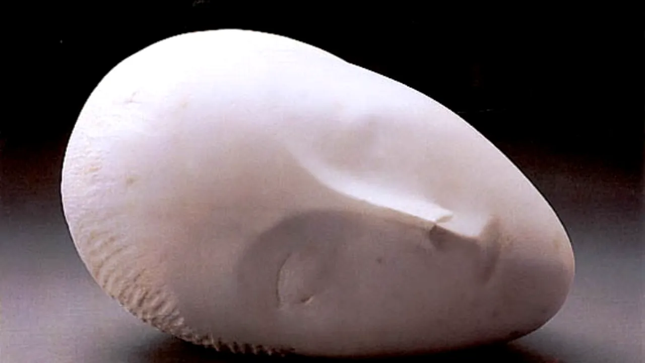 Director Christie's: 