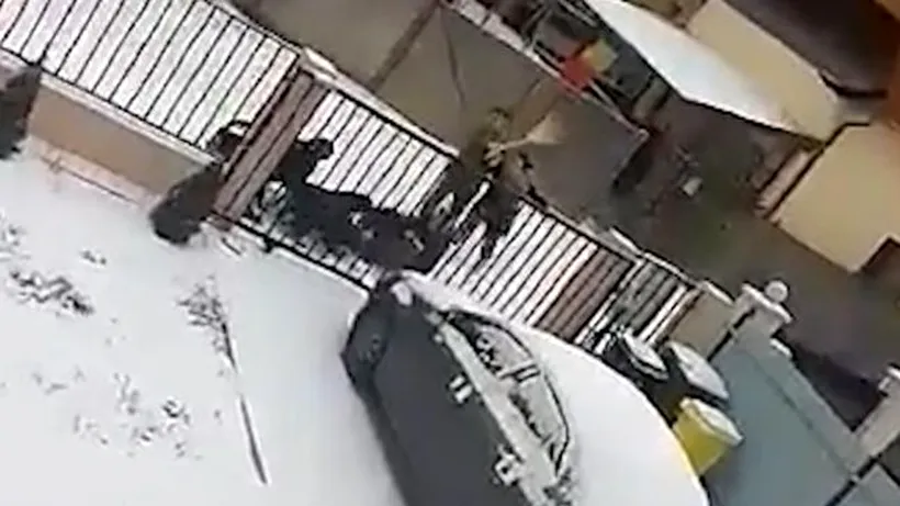 Femeie atacată de patru rottweileri, pe o stradă din Suceava. Momentul șocant a fost filmat (VIDEO)