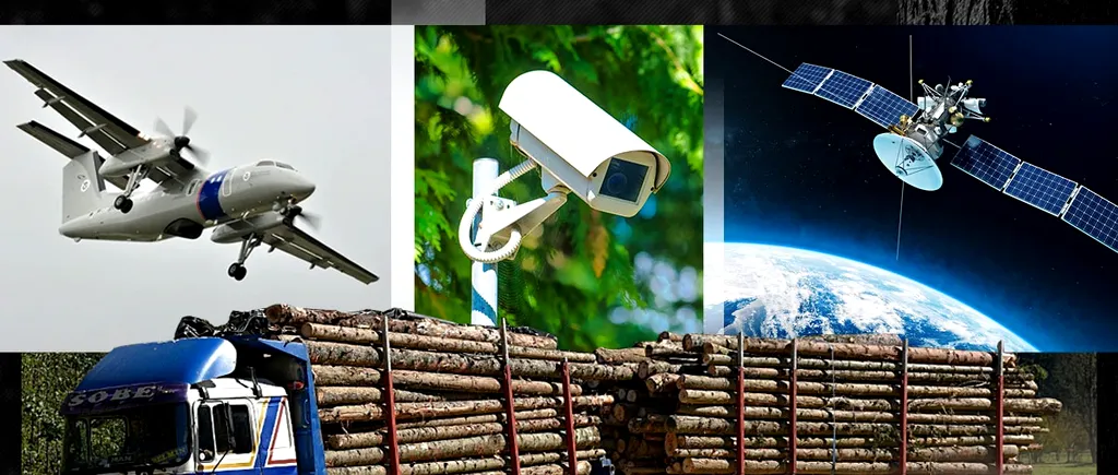 EXCLUSIV VIDEO | Cum pot fi salvate pădurile de la tăiere. Ministrul Mediului: ”Monitorizăm din satelit, aerian și cu camere de supraveghere”