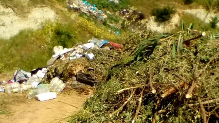 Amendă de 15.000 de lei pentru Primăria Hunedoara, din cauza unor deșeuri abandonate la marginea localității