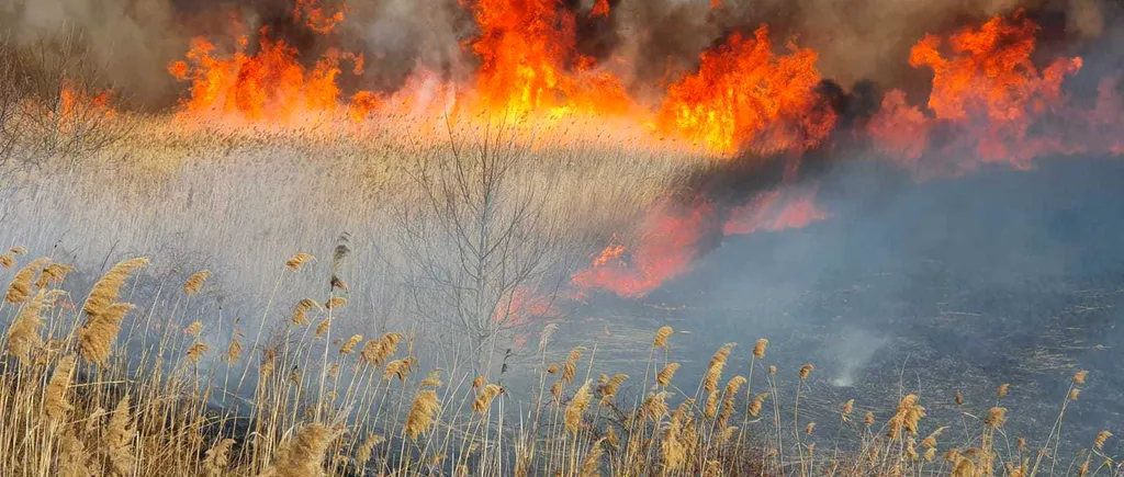Un incendiu a cuprins 25 de hectare de stuf și vegetație, în Tulcea