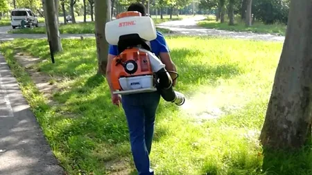 Nicușor Dan anunță demararea celui de-al patrulea tratament anti-ţânţari din acest sezon