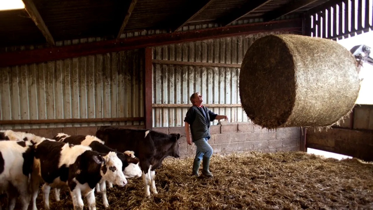 Importul de lapte a crescut cu 56,7% în primele 7 luni în timp ce cantitatea colectată local s-a redus cu 4,1%