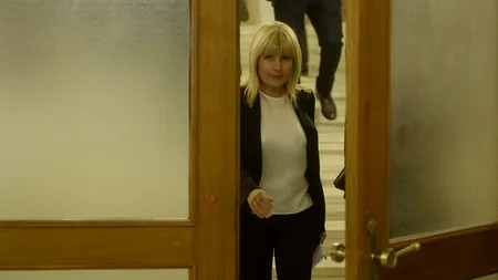 Elena Udrea, la Poliție în cursul dimineții
