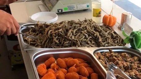 Sezon estival fără toxiinfecţii alimentare, pe litoralul românesc! Pentru ce au primit, totuși, amenzi unele unități alimentare