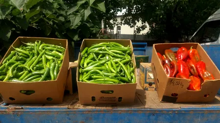 Oltenii îi ajută pe sinistraţii din Alba cu legume şi cereale