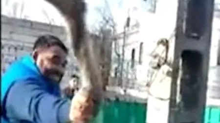 Scene grotești transmise LIVE, pe Facebook. Mai mulți romi din Murgeni fugăresc un struț, după care îl taie. “Share masiv, să ajungem la știri!” / VIDEO