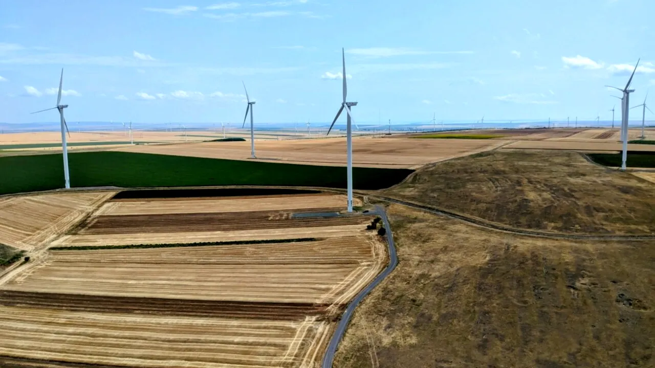 Rețele Electrice Muntenia modernizează infrastructura electrică din Mogoșoaia și scoate la licitație lucrări de 58,4 mil. lei