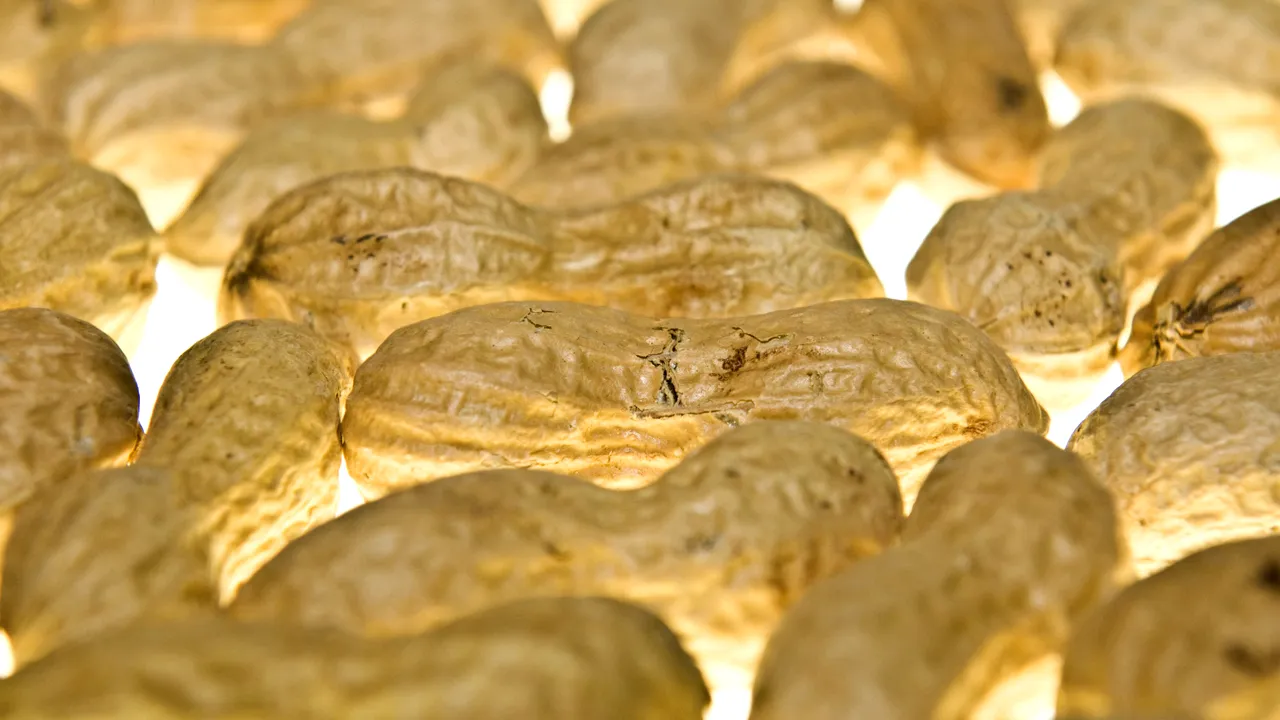 Două eleve au fost suspendate, după o FARSĂ făcută unei profesoare care este alergică la ALUNE. Femeia, la un pas de moarte