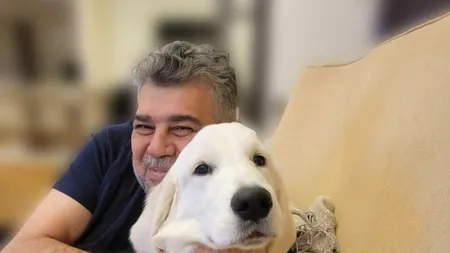 Premierul Marcel Ciolacu să pregătește să plece la Bruxelles, în timp ce fiul său dă EXAMENUL de rezidențiat