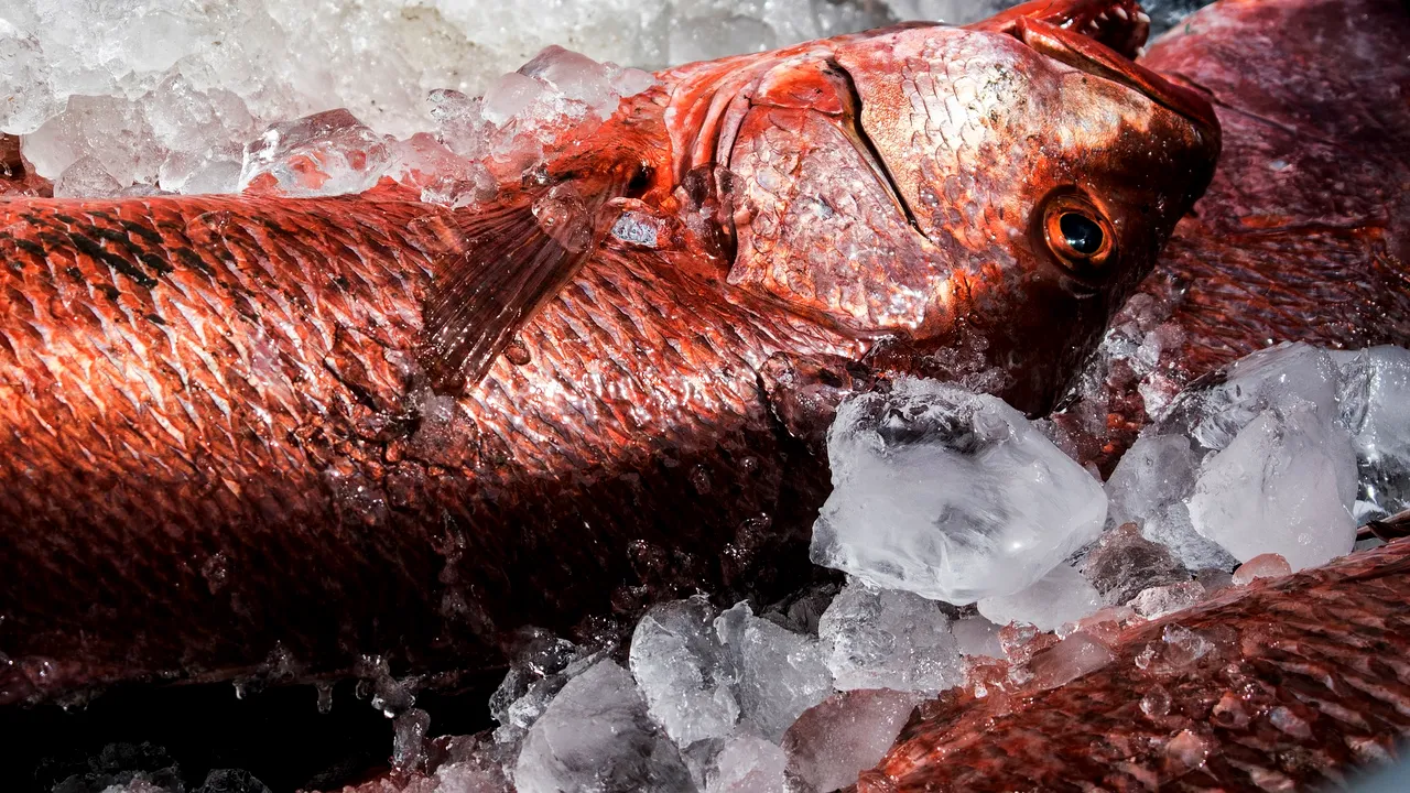 Protecția Consumatorilor a descoperit nereguli la 60% dintre operatorii care comercializează pește verificați - VIDEO