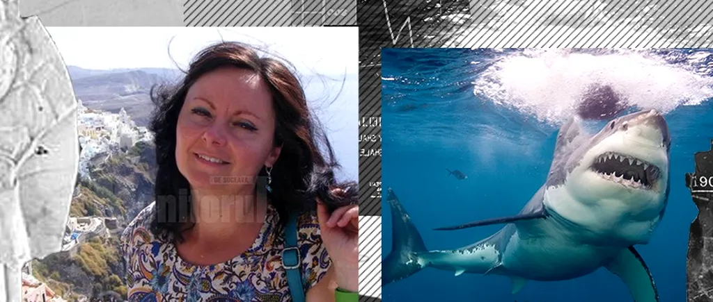 Salvamarii din Egipt au fost avertizați de turiști cu privire la apariția unui rechin în golful unde au fost ucise turistele, dar răspunsul a fost șocant