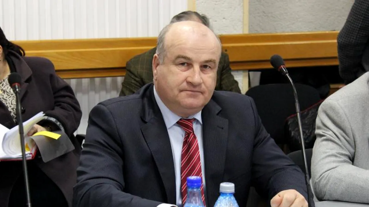 Cum rezolvă un consilier local al PSD problema maidanezilor: 