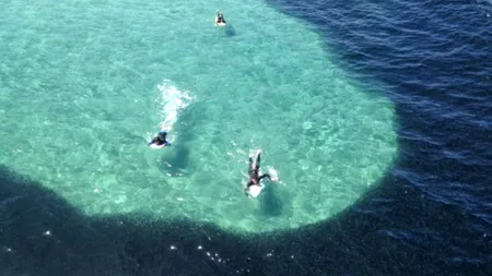 Apariție misterioasă în apele din San Diego. „Nu ne-am așteptat la așa ceva