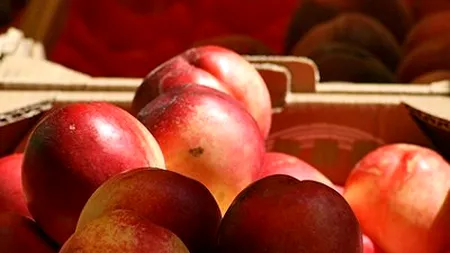 Caise și nectarine provenite din Turcia, retrase de la consum