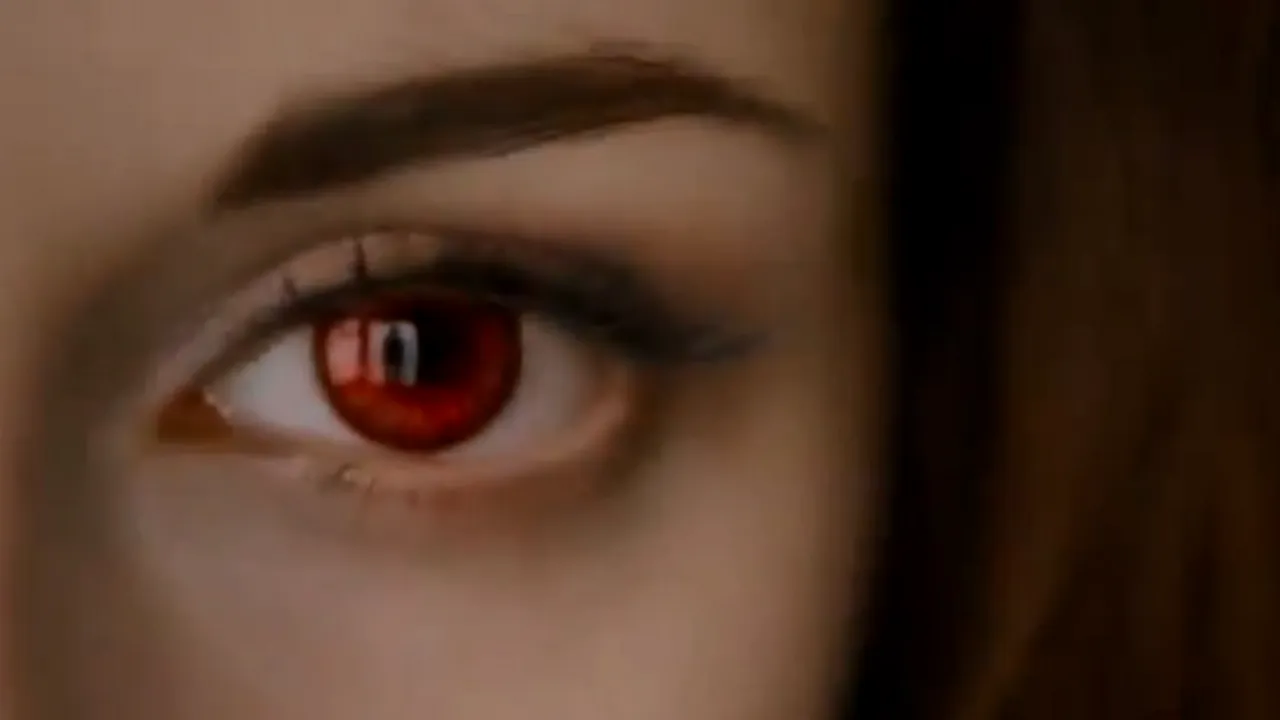 Premiile Zmeura de Aur 2013. Ce film a fost 