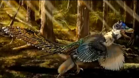 Oamenii de știință au descoperit fosilele unei specii de dinozaur cu aripi și pene
