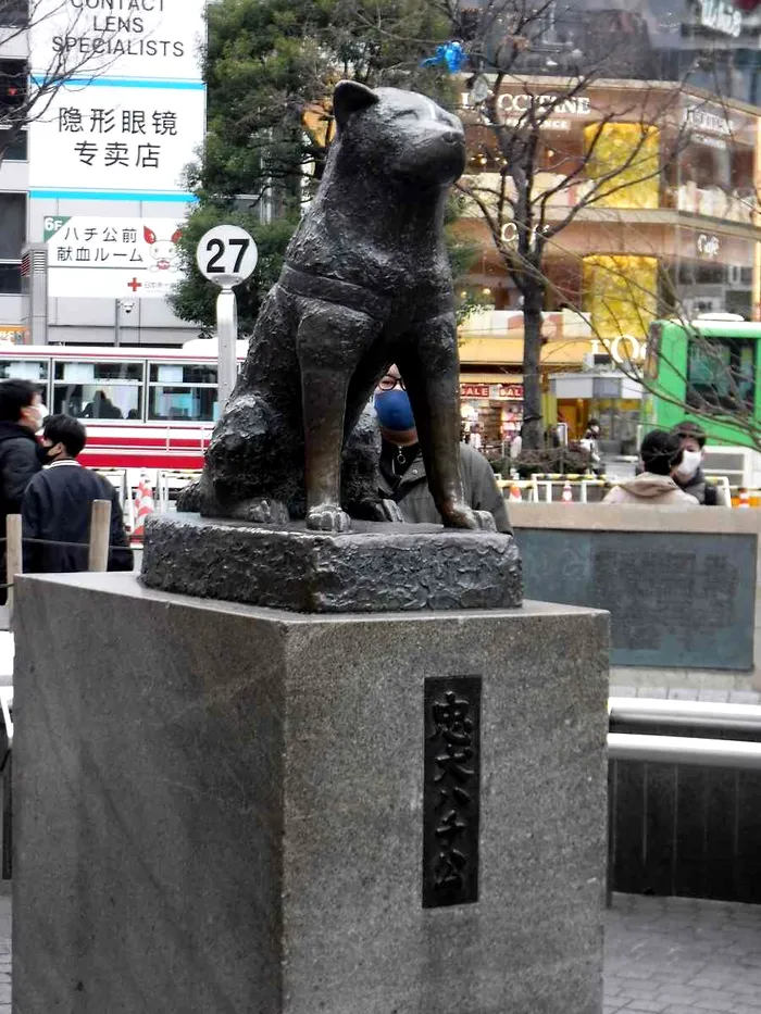 Statuia lui Hachiko / Sursa foto: Twitter The Janan News