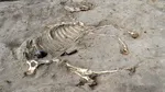 Arheologii au descoperit un cal îngropat în urmă cu 3.000 de ani într-o fortăreață egipteană. Ce alte vestigii au scos la iveală