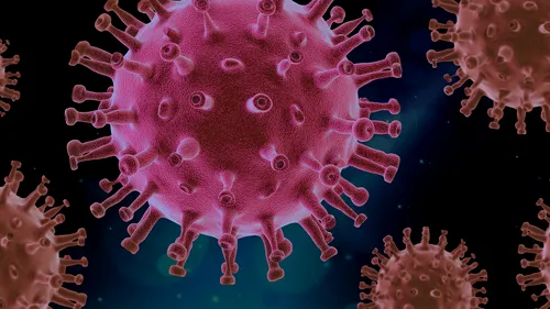 India a raportat 161.000 de infectări cu COVID-19, cel mai mare număr zilnic din lume