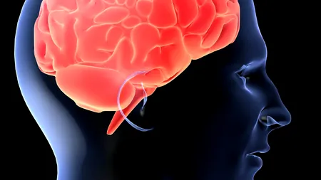 Un reputat medic neurolog dezvăluie ce produs refuză să consume. „Nu oferă absolut nimic valoros”