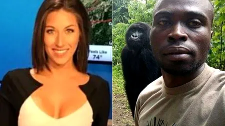 Gafa de proporții făcută de o prezentatoare meteo, în direct, după ce s-a discutat pe post despre selfie-ul viral cu gorilele de munte