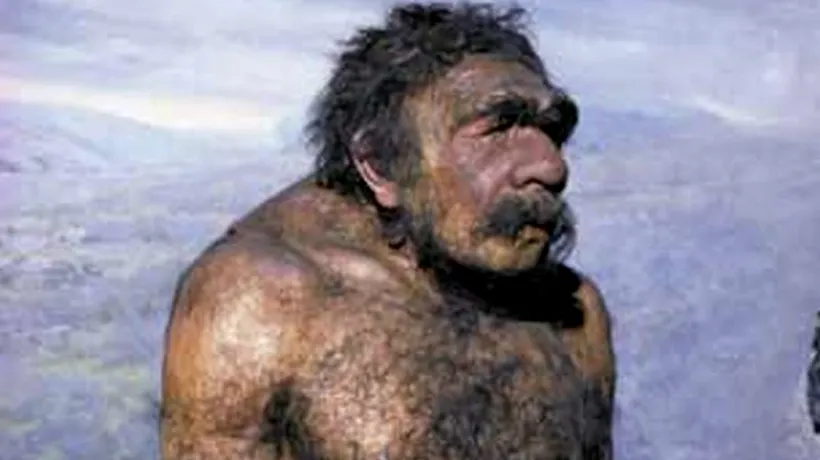 Principalul motiv al dispariției omului de Neanderthal